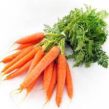 Dalat Carrots